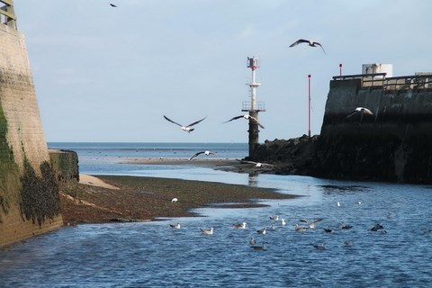 photo Grandcamp Maisy Les Isles de Sola