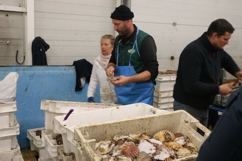 photo Grandcamp Maisy Les Isles de Sola